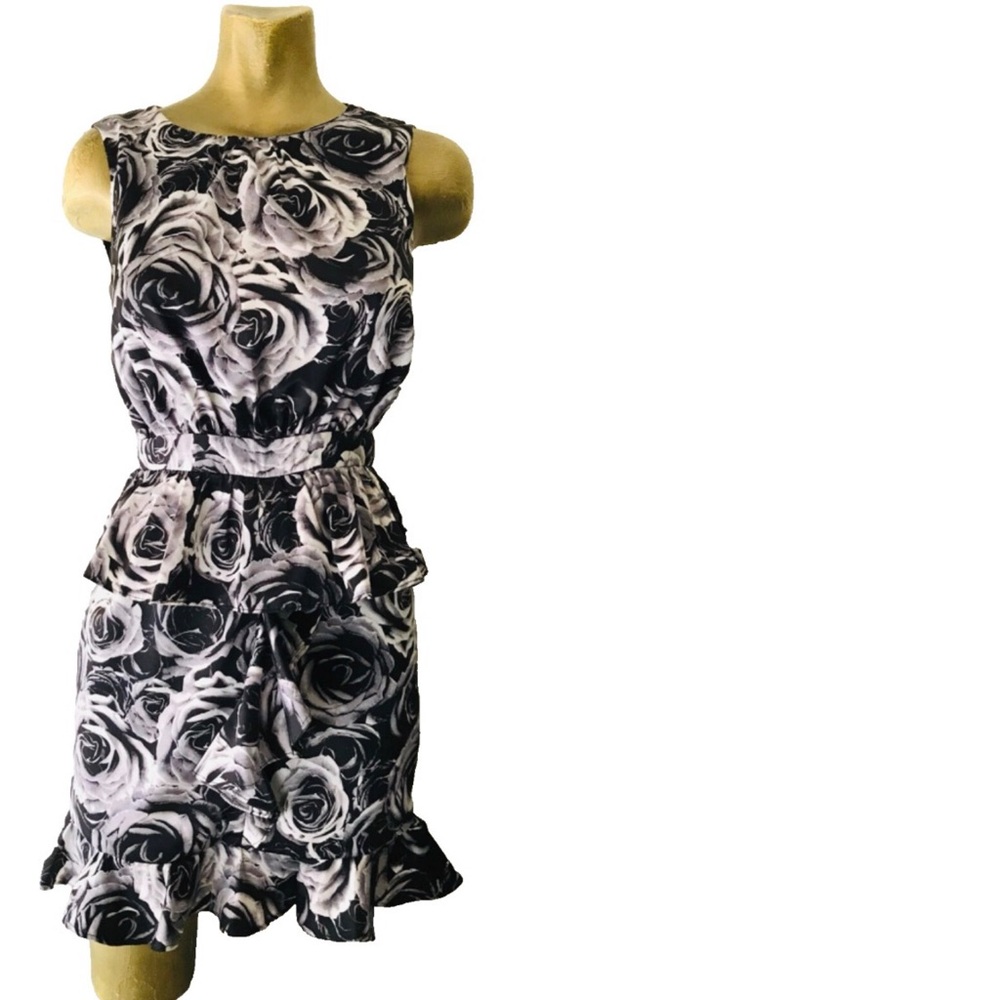 KATE YOUNG for Target ROSE Ruffle DRESS Size 2 - Picture 2 of 13